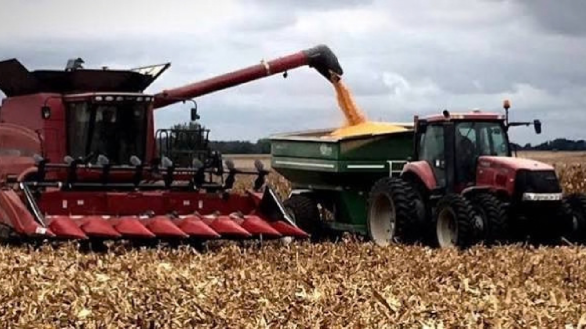 farming seasons