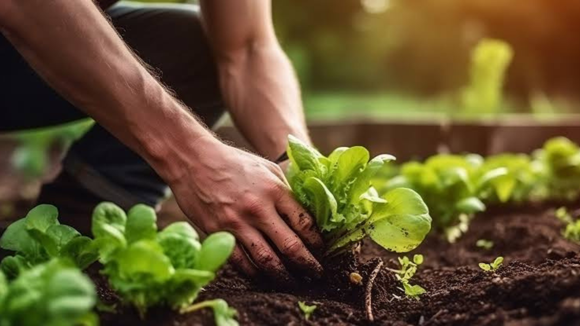 sustainable agriculture future