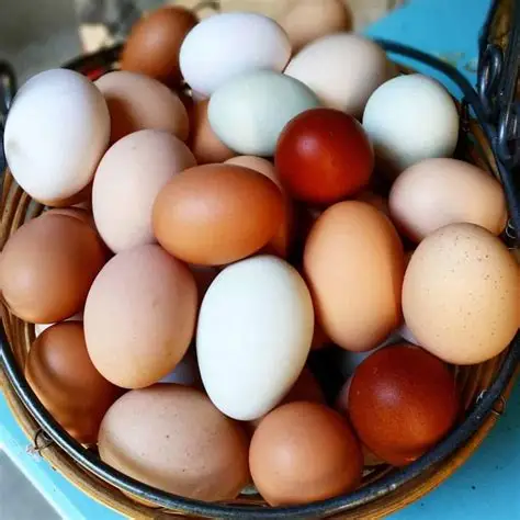 Farm-Fresh Eggs and What to Know