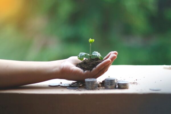 Why Farm-To-Table Living Saves Money