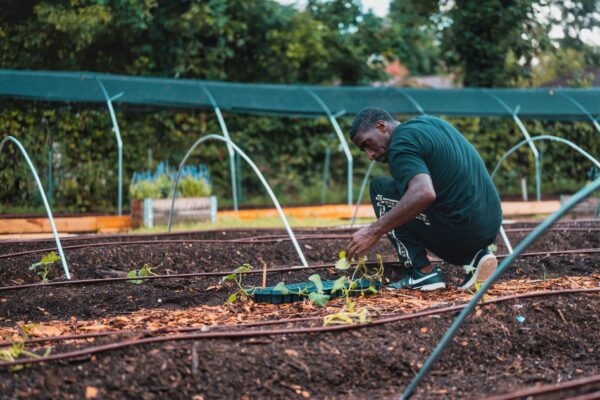 Tips For Starting A Profitable Farm