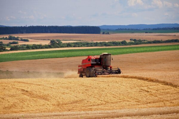Why Crop Rotation Improves Farm Productivity