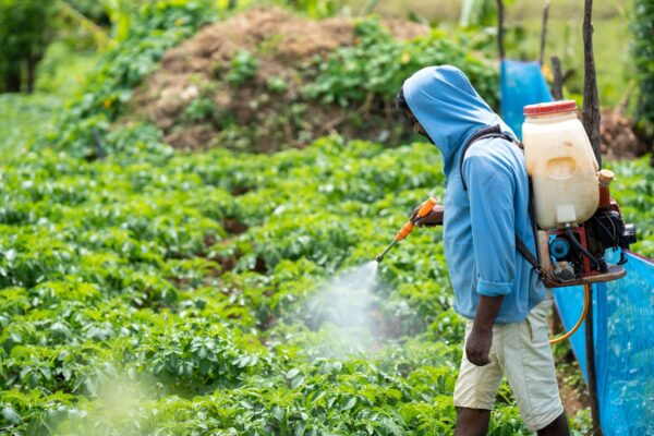 Tips For Protecting Crops From Pests