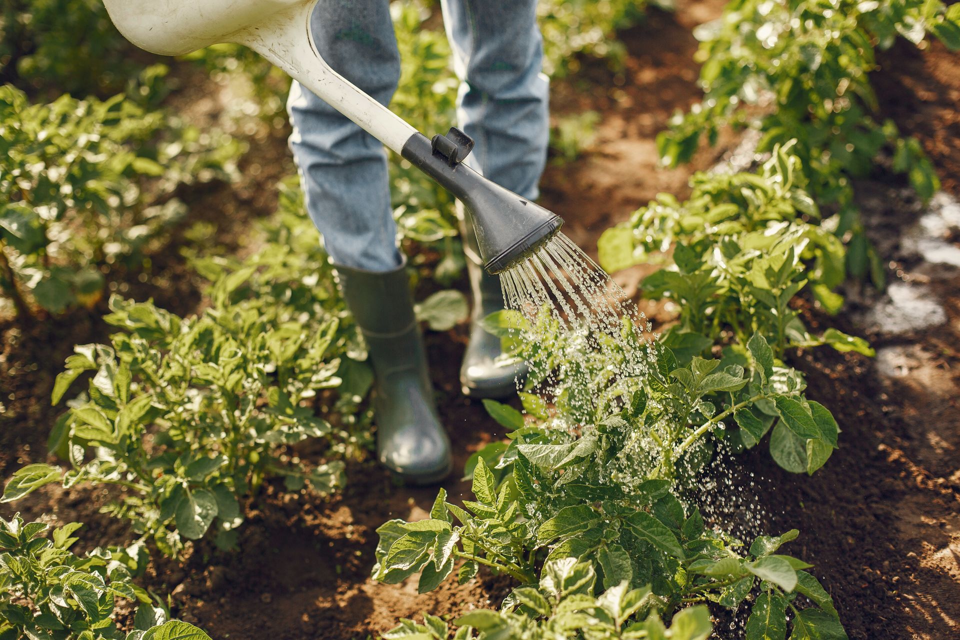 Where Farmers Can Find Agricultural Training