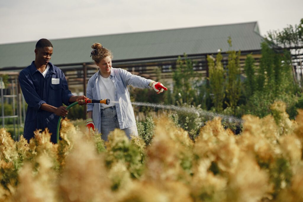 Where Farmers Learn Sustainable Agriculture Techniques