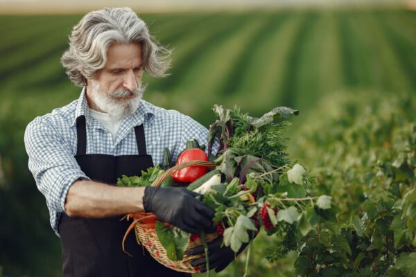 How Farmers Maintain Produce Quality After Harvesting