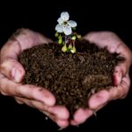 How To Improve Soil Health Sustainably