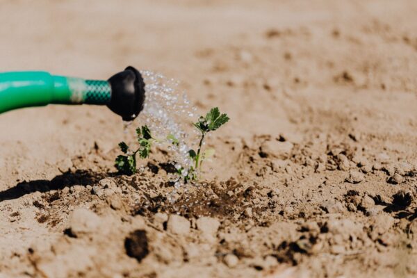 Best Irrigation Methods For Small Farms