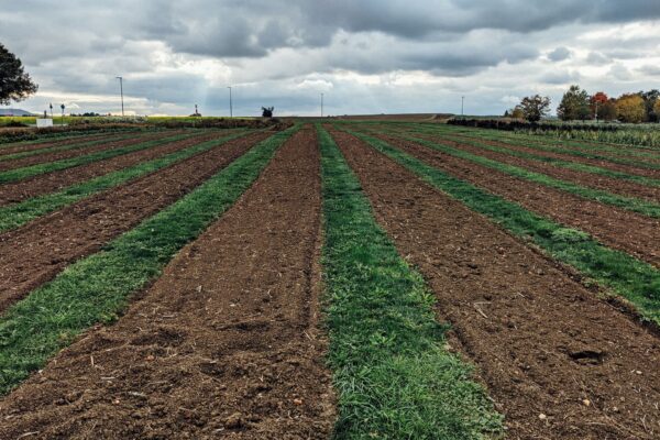 How Farmers Handle Unexpected Weather Conditions