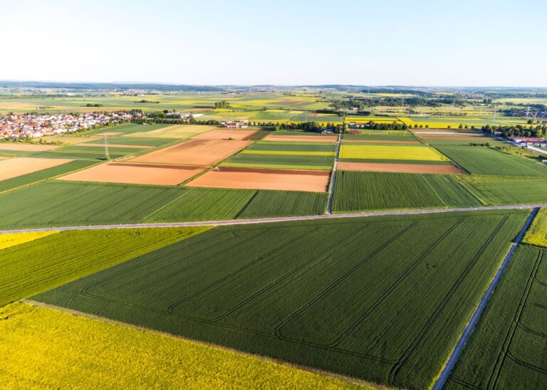 How to Choose the Right Crops for Your Farm
