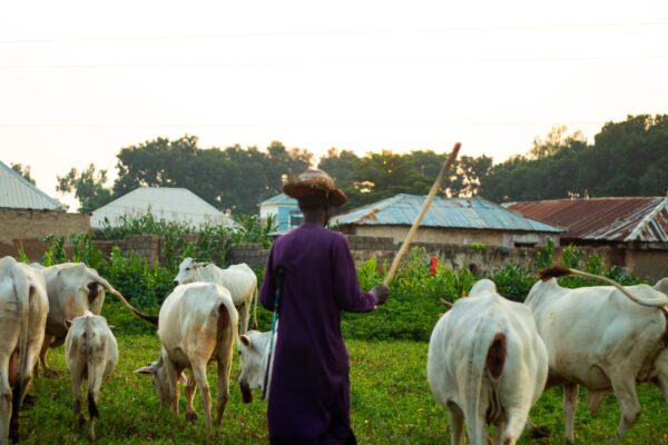 Why Farming Traditions Matter To Communities