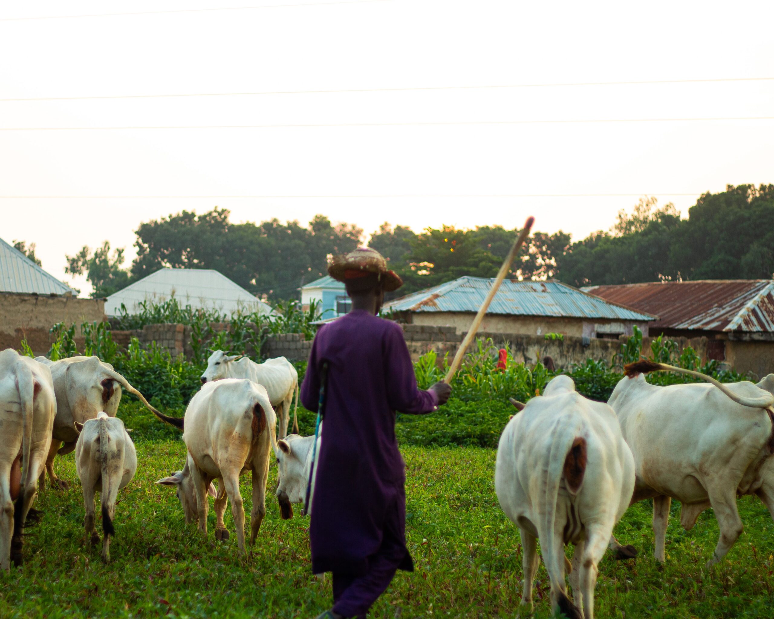 Why Farming Traditions Matter To Communities
