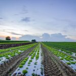 Top Practices For Protecting Farm Ecosystems