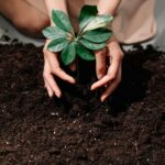 Ways To Reduce Soil Erosion Sustainably