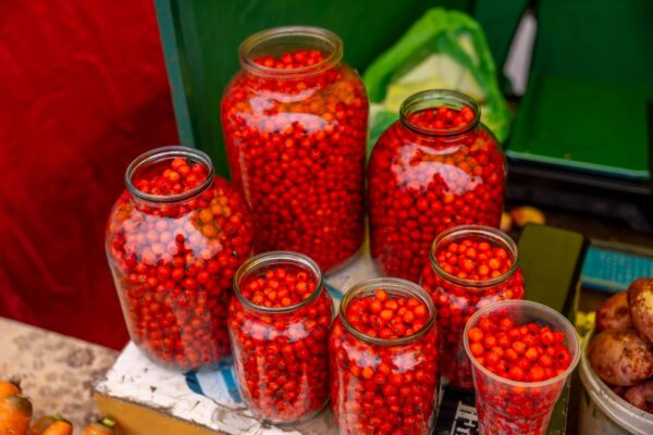 How To Preserve Homegrown Food Safely