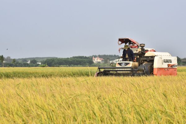 How Farmers Manage Busy Harvest Seasons