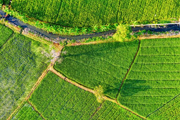 How To Start Sustainable Farming Practices